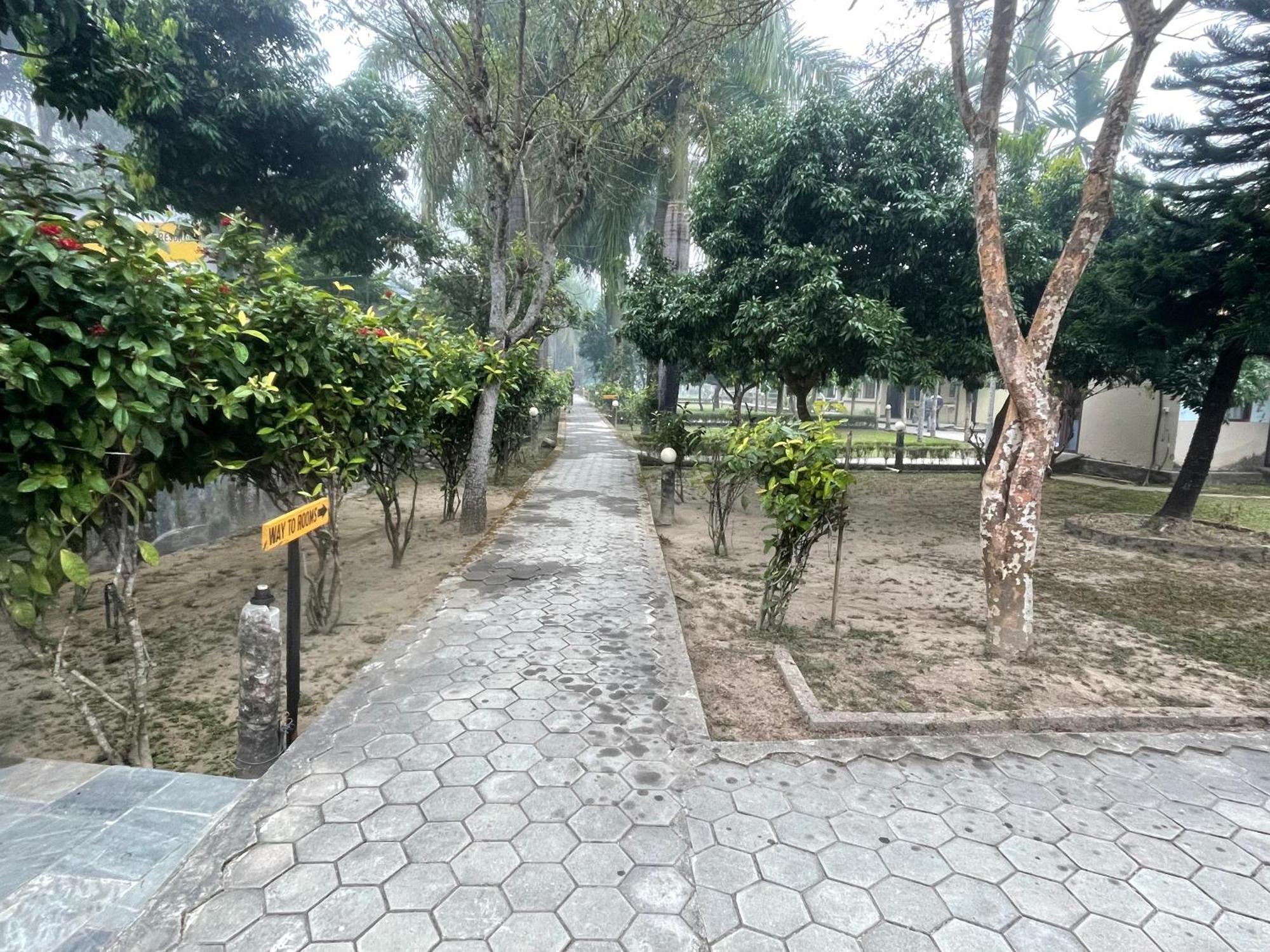 Chitwan Riverside Resort Sauraha Exteriér fotografie