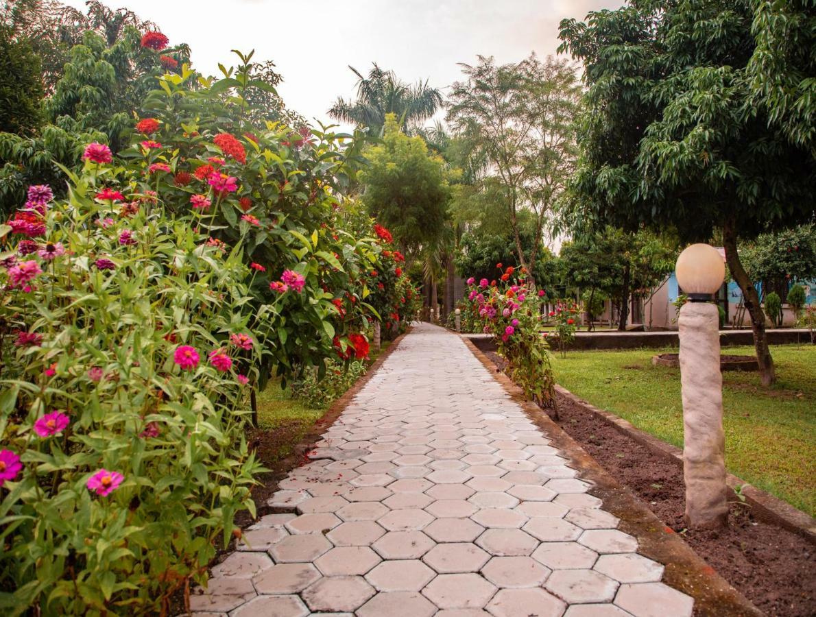 Chitwan Riverside Resort Sauraha Exteriér fotografie